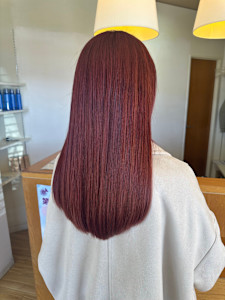 【増田】レッドカラー - PETZ本店掲載