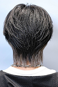 ホワイトバングウルフ - LIPPS hair 立川【リップスヘアー】掲載