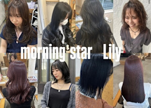 morning star lily(モーニングスターリリィ)