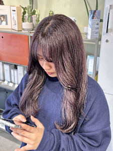 ピンクラベンダー