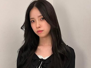 hypericum×スタイル