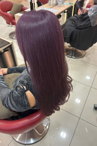 ダブルカラー×スモーキーパープル