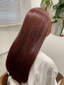 ＆ Graph.×スタイル - ＆ Graph.掲載