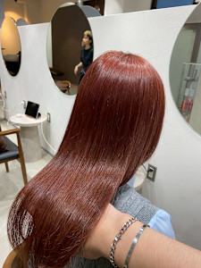 ＆ Graph.×スタイル - ＆ Graph.掲載