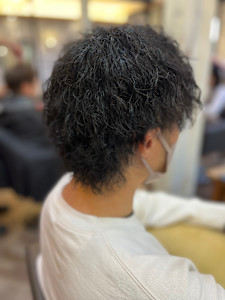 ツイストスパイラルウルフ - Van family MEGA ドン・キホーテUNY福井店掲載