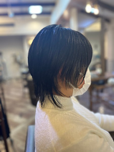 ミニウルフ - Van family MEGA ドン・キホーテUNY福井店掲載