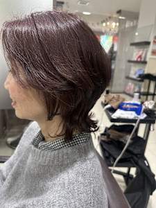 ピンクラベンダー