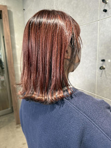 ダブルカラー/アンブレラ