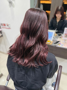 ラベンダーピンク