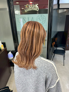 ハイトーンカラー - AIZU本厚木 白髪ぼかし ハイライト バレイヤージュ 髪質改善掲載