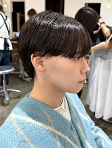 シースルーマッシュ  森