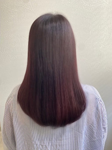 ＆ Graph.×スタイル - ＆ Graph.掲載