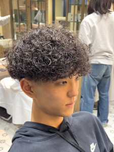 スペインカール - GROOMER/S TOKYO本店【グルーマーズトウキョウ】掲載