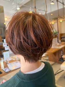 PLUS 六地蔵店×スタイル