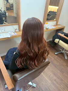 ルシードスタイル PLUS丹波橋店×スタイル - ルシードスタイル PLUS丹波橋店掲載