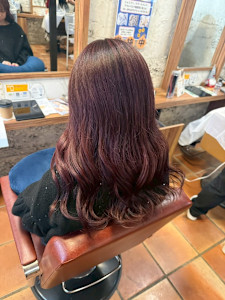 ルシードスタイル PLUS丹波橋店×スタイル - ルシードスタイル PLUS丹波橋店掲載