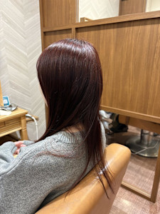 レッドブラウンカラー