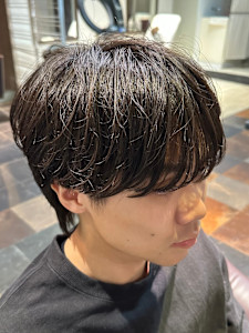 シースルーフェザーマッシュ