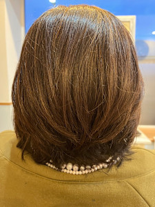 ボブ - concierge 泉区将監殿店掲載