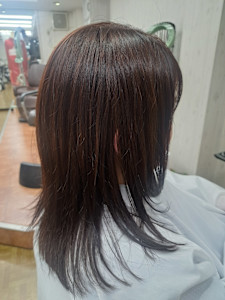 バイオレットブラウン