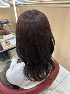 イルミナ ラベンダーカラー