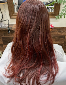 サロンヘアー・プラス×スタイル