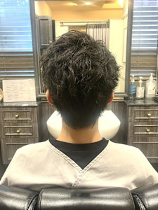 ショートフェザー