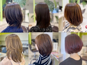 TriStar【トライスター】×スタイル