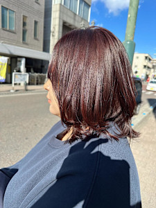 赤ブラウンとレイヤー