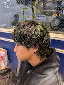 グリーンハイライト/ウルフ - N'SOL of RICHAIR掲載