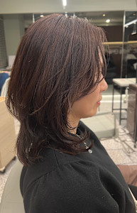 ミディアムレイヤー