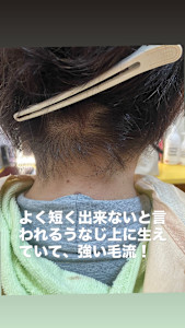 マッシュローレイヤー - 美容室Stella掲載