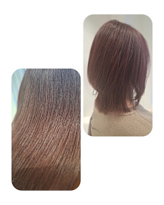 カシミヤ髪質改善トリートメント♪