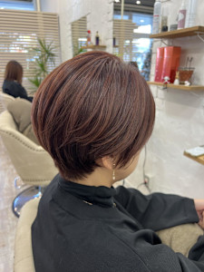 ショート/オーガニックカラー