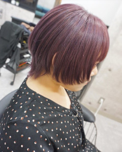 ケアブリーチハイトーンカラースタイル