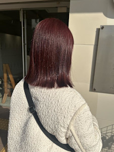 チェリーブラウン×ボブ