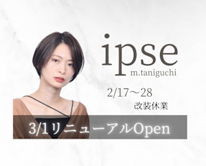 M.TANIGUCHI ipse(エムタニグチ イプセ)
