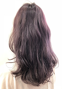 フェザーロングブルーヴァイオレット