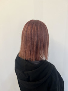 【マルタ担当】サーモンピンク