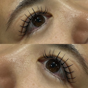 Pixie Bob(ピクシー ボブ)