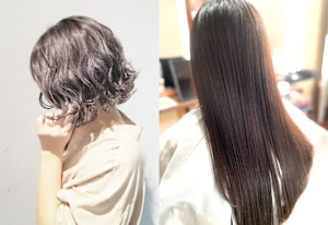 Papillon Rose(パピヨンロゼ)