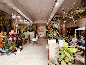 conocoa(コノコア)