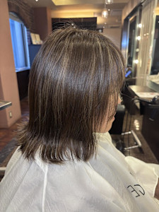 白髪ぼかしナチュラルハイライトブラウン