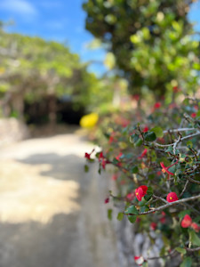 琉球リラクゼーションサロン ゆらら(リュウキュウリラクゼーションサロン ユララ)