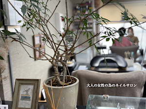 BEAUT-BUTTERFLY 相模大野店(ビュートバタフライサガミオオノテン)