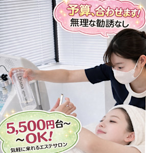 韓国・肌管理専門店 DIANA.GINZA 【ララピール・プラピール・LDM】(カンコクハダカンリセンモンテンダイアナギンザララピールプラピールエルディーエム)