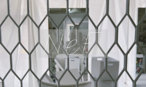 NeF(ネフ)