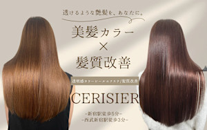 Cerisier(スリジエ)