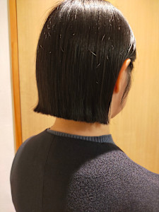 そとはねボブ