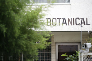 BOTANICAL(ボタニカル)